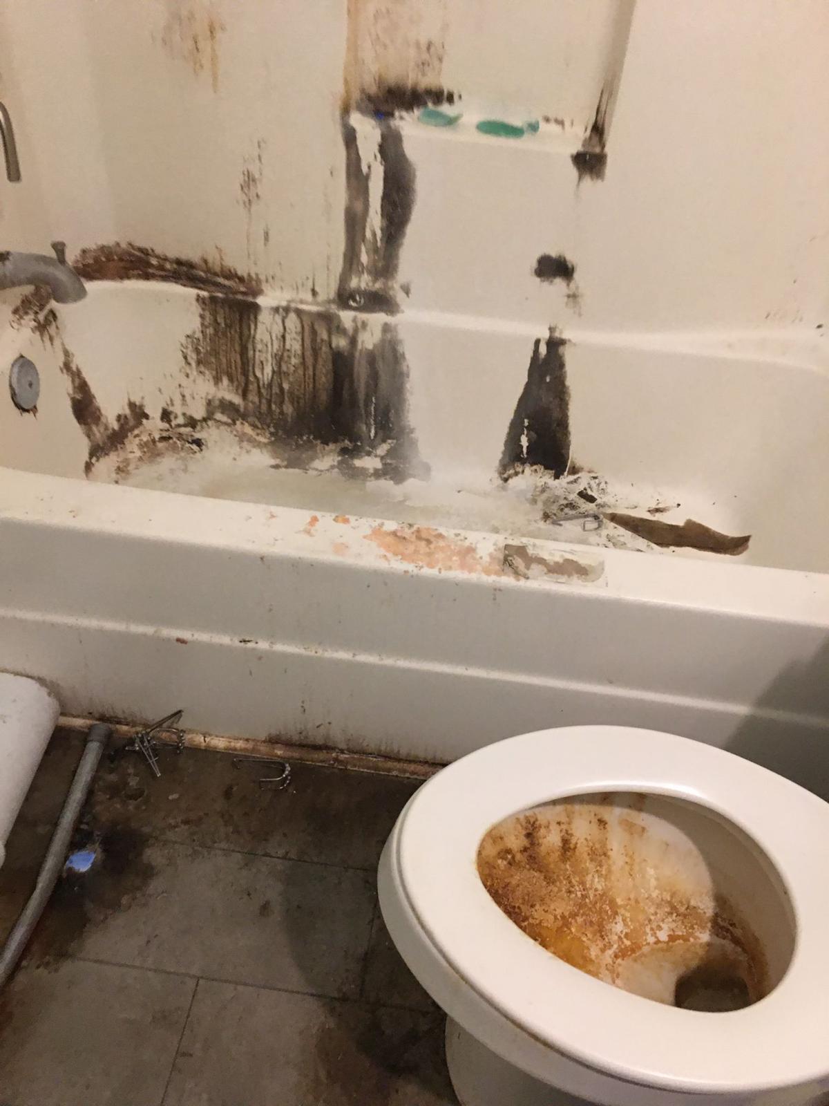 DEEP CLEANING